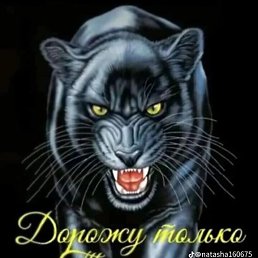 ���� ����, ������, 50 ��� - ��������� 26 ������ 2023