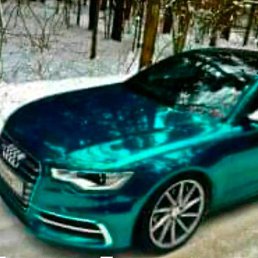 ����, ������, 49 ���