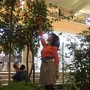���� ��������, ����-���������, 55 ��� - ��������� 7 ������� 2022 � ������ ���� ����������