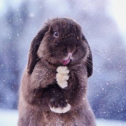 ���� �����, ������, 44 ���� - ��������� 15 ������ 2023