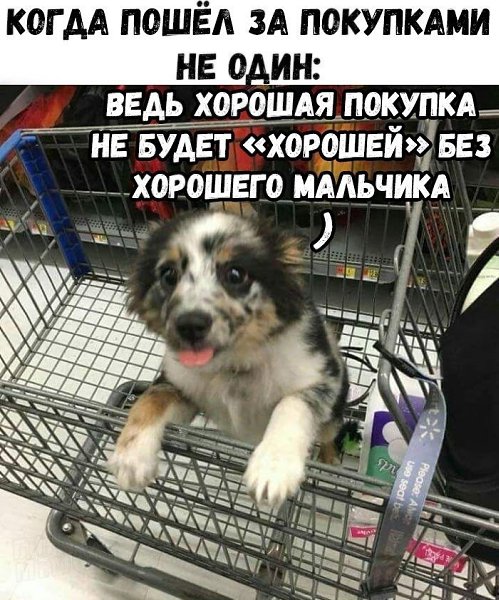 � �� ���������!