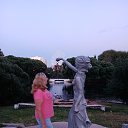  , , 56  -  29  2022    2022