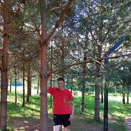 ���� ����, ������, 44 ���� - ��������� 9 ���� 2022