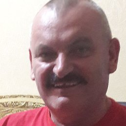 ����, �������, 40 ���