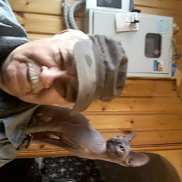 �������, �����-���������, 70 ���