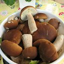 ���� ����, ���������, 57 ��� - ��������� 14 ������� 2023