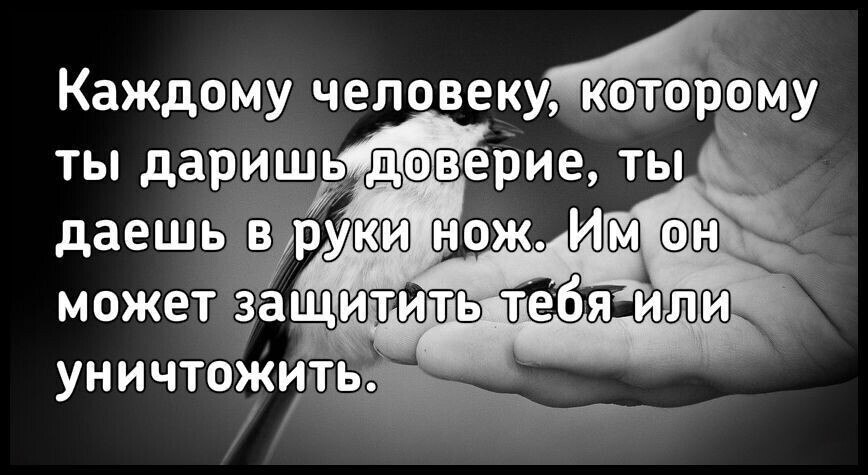 ☆ ☆ - 6  2022  04:39