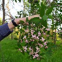 ������ ����� � �������� &mdash;�����, ����� ������!����� ������ ����� ����� �����,� �������, � �����! �� ������� ���� ����������