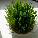 ���� ������, �������, 38 ��� - ��������� 3 ������ 2022 � ������ �111�