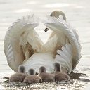 ���� ����, ���������, 59 ��� - ��������� 18 ������� 2022 � ������ ���� ����������