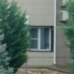 ����, ������, 51 ���