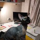 ���� ����, ������, 61 ��� - ��������� 12 ������� 2023 � ������ ���� ����������