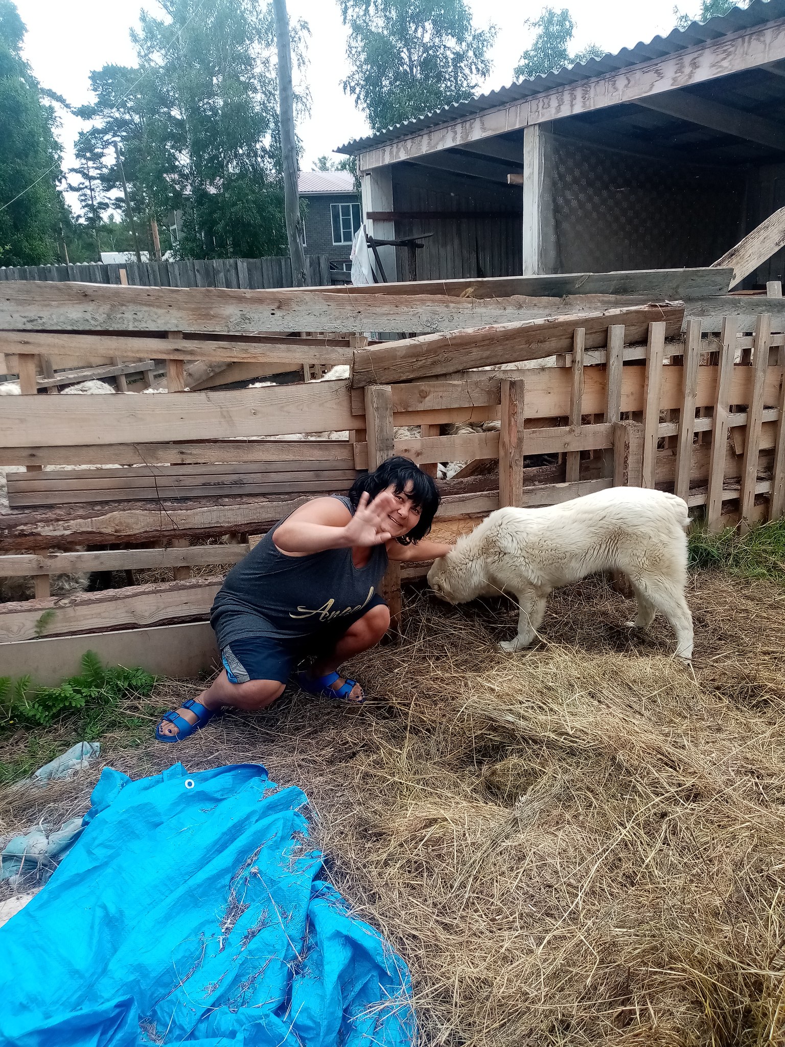 ***Victoria Viktorovna*** - 4  2022  10:36