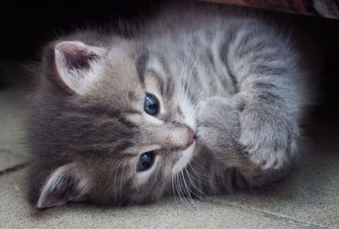 ��� �������� �������� - 16 ������� 2022 � 18:33