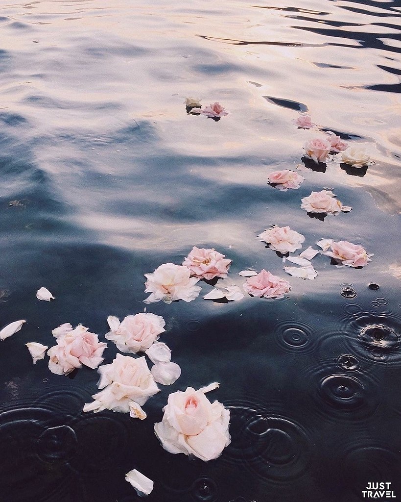 oeepo.#art #travel #world - 2