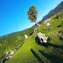 ���� Oksani, ������������ - ��������� 20 ������� 2022 � ������ ���� ����������