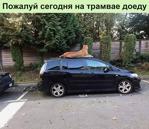 ������������ ������� ��������� �� ������