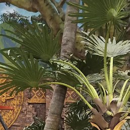 ���, ������, 26 ���