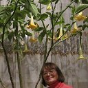  Zuhra,  , 72  -  28  2022    