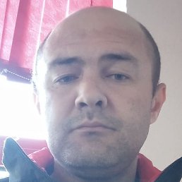 ����, �����, 38 ���