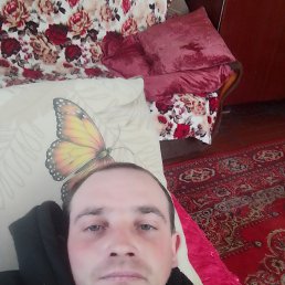 ���� ����, ������, 33 ���� - ��������� 20 ������� 2023