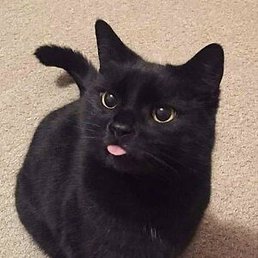 ����, ������, 27 ���