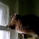 ���� �������, �����������, 66 ��� - ��������� 23 ������� 2022