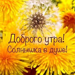 ������������, �������