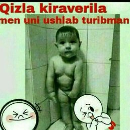 ��� ���, ������, 24 ����