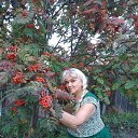 ���� �������, ���������, 37 ��� - ��������� 7 ������ 2023 � ������ ���� ����������