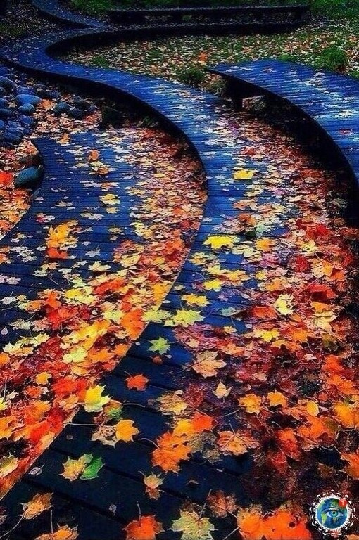  ca pce co . ao, ao  o, a   pac.    - 3