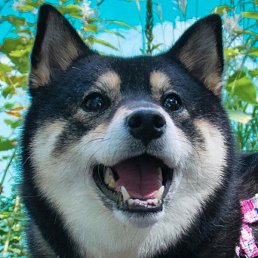 �������, �����������, 24 ����