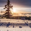 ���� ������, ���������, 63 ���� - ��������� 17 ������ 2023