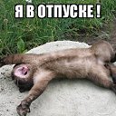 ���� ��������, ��������� - ��������� 29 ������� 2022 � ������ ���� ����������