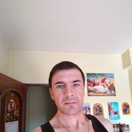 , 49 , 