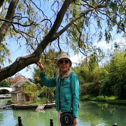 ����, ����