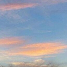 �����., ������ ��������, 49 ���