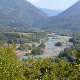 �����, ����, 42 ����