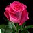 ���� Gena, ���������, 56 ��� - ��������� 10 ������� 2023