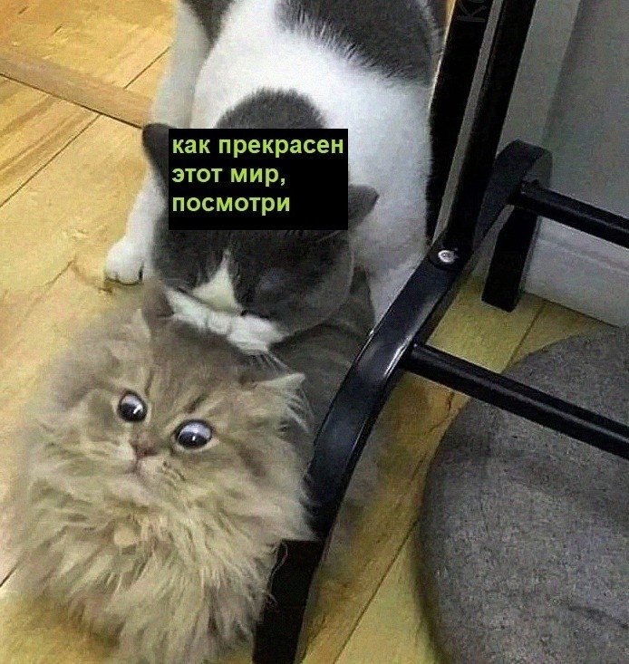   :D - 11  2022  18:40