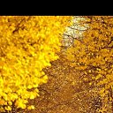 ���� Alex/, ��������� - ��������� 20 ������ 2022 � ������ ������� ��������