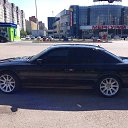 ���� ���������, ������, 40 ��� - ��������� 8 ������ 2023 � ������ ���� ����������