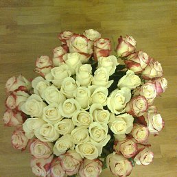 ���������, ��������, 62 ����