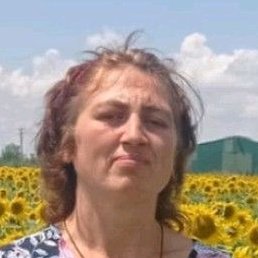 ����� �������, �����, 40 ���