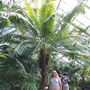  , , 56  -  29  2022   - 2022