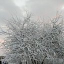 ���� �������, �����������, 64 ���� - ��������� 20 ������ 2023