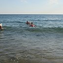 ���� ������� �����..., �������� - ��������� 28 ���� 2022 � ������ ������ � ������, ���� 2022 �.�