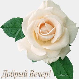 ���� ������, ������������ - ��������� 23 ������ 2023