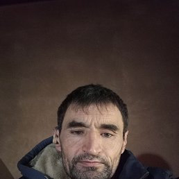 ���� Aliser, �����-���������, 50 ��� - ��������� 7 ������ 2022