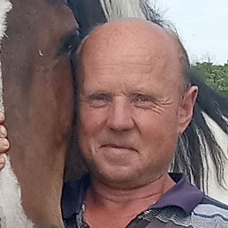 ����, �����, 49 ���